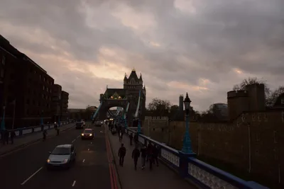 DSC_5670 (Large).JPG